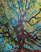 Stefan Duncan - Angel Oak Young